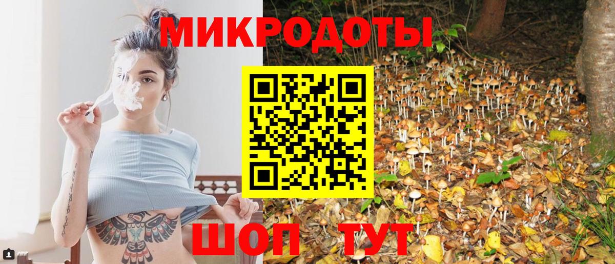 Каспийск  Псилоцибиновые грибы прущие грибы  Псилоцибиновые грибы GOLDEN TEACHER  Вход с VPN 