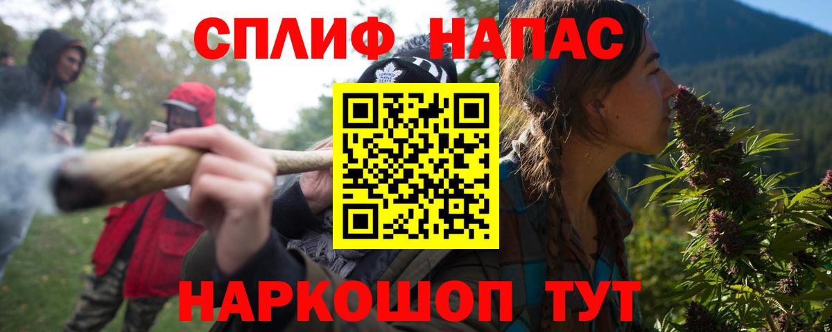 Бошки Шишки семена Каспийск